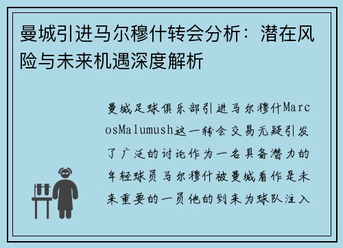 曼城引进马尔穆什转会分析：潜在风险与未来机遇深度解析